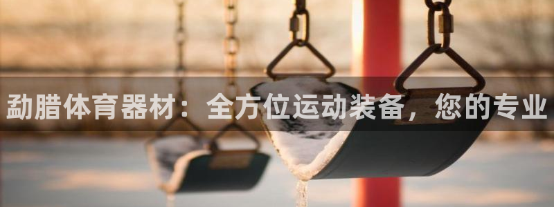 星欧娱乐雀V是什么平台