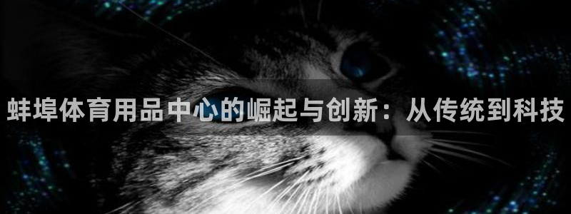 澳星国际娱乐集团：蚌埠体育用品中心的崛起与创新：从传统到科技